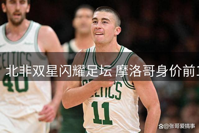 北非双星闪耀足坛 摩洛哥身价前10球员总估值突破3亿欧元